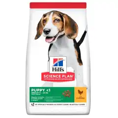 <p>HILL'S SCIENCE PLAN Medium Puppy hundef&ocirc;r med kylling er en velsmakende ern&aelig;ring for utviklingsbehovet til valper s&aring; de f&aring;r den beste starten i livet og kan utvikle sitt fulle potensial.</p>

<ul>
	<li>DHA fra fiskeolje for sunn utvikling av hjerne og &oslash;yne</li>
	<li>Proteiner av h&oslash;y kvalitet for utvikling av sunn muskulatur</li>
	<li>Balansert mineralinnhold for sterke ben og tenner</li>
</ul>

<hr /><br />

<img alt="" src="/Filemirror/pictures/p375/604174_1_375178.png" />