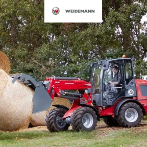 Weidemann